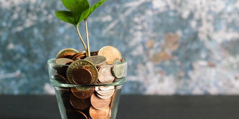 BNPL et prix livré — deux questions distinctes