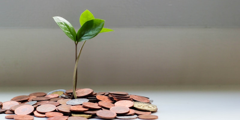 Économiser avec le reconditionné — sans sacrifier la garantie